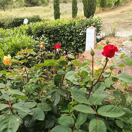 Apartment Sole E Luna