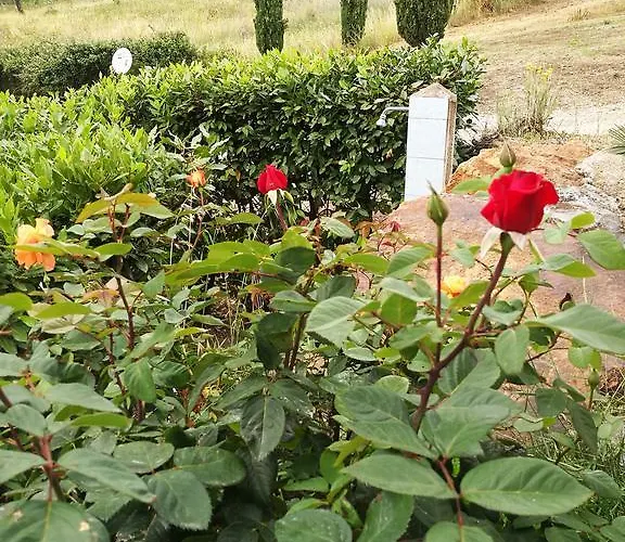 Apartament Sole E Luna